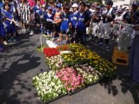 頑張ってキレイに植えてね