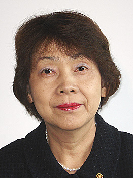 佐藤恵プロフィール タウンニュース政治の村